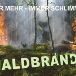 Warum der Wald in Flammen steht