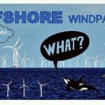 Offshore-Windkraftanlagen: die stillen Killer