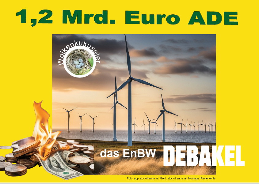 das EnBW-Debakel