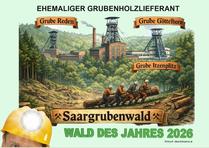 Saargrubenbwald